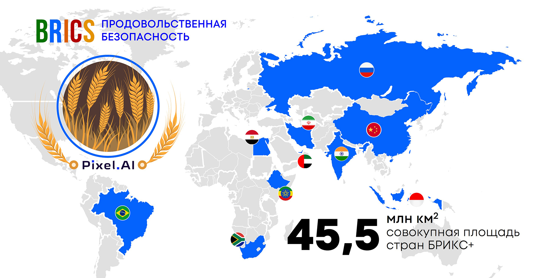 Российские геотехнологии станут основой наблюдения за сельхозземлями стран БРИКС