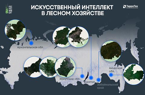 Космические технологии «Терра Тех» повышают эффективность управления лесным хозяйством России