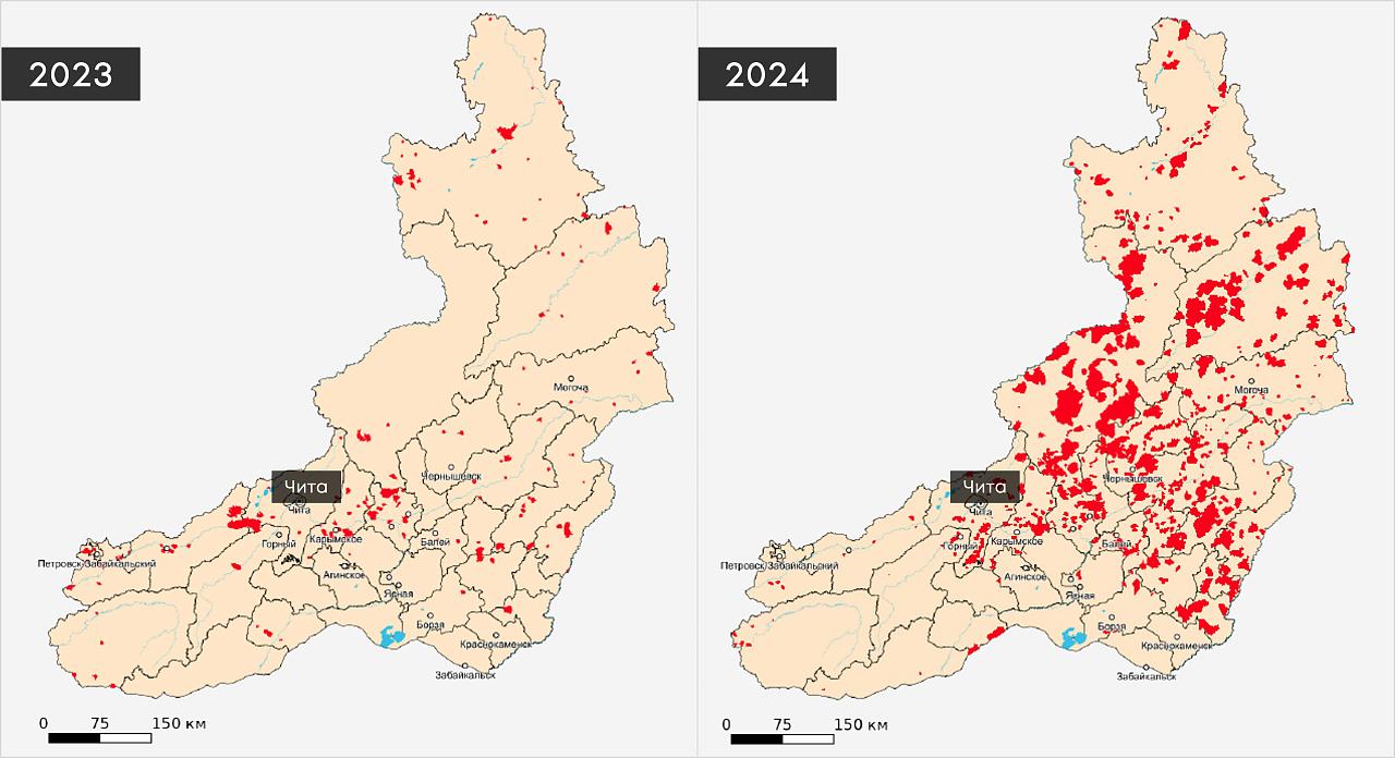 Площади, пройденные огнем, в пожароопасные периоды 2023 и 2024 годов